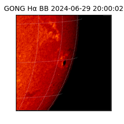 gong - 2024-06-29T20:00:02