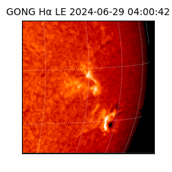 gong - 2024-06-29T04:00:42