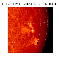 gong - 2024-06-29T07:04:42