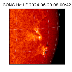 gong - 2024-06-29T08:00:42