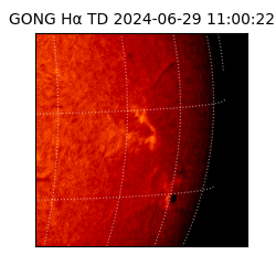 gong - 2024-06-29T11:00:22