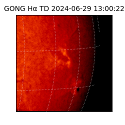 gong - 2024-06-29T13:00:22