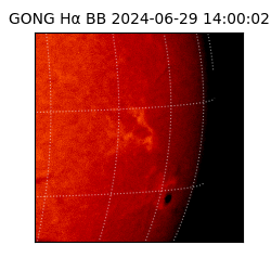 gong - 2024-06-29T14:00:02