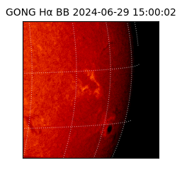 gong - 2024-06-29T15:00:02