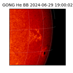 gong - 2024-06-29T19:00:02