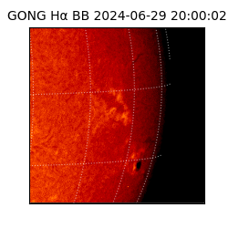 gong - 2024-06-29T20:00:02