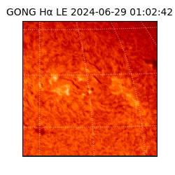gong - 2024-06-29T01:02:42
