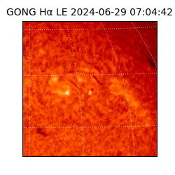 gong - 2024-06-29T07:04:42