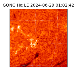 gong - 2024-06-29T01:02:42