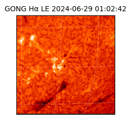 gong - 2024-06-29T01:02:42