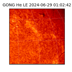 gong - 2024-06-29T01:02:42