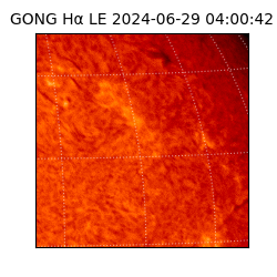 gong - 2024-06-29T04:00:42