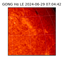 gong - 2024-06-29T07:04:42