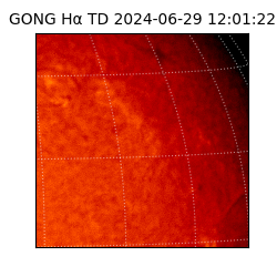gong - 2024-06-29T12:01:22