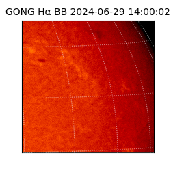 gong - 2024-06-29T14:00:02