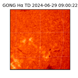 gong - 2024-06-29T09:00:22