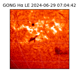 gong - 2024-06-29T07:04:42