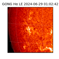 gong - 2024-06-29T01:02:42