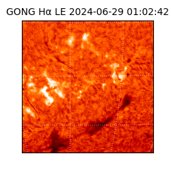 gong - 2024-06-29T01:02:42