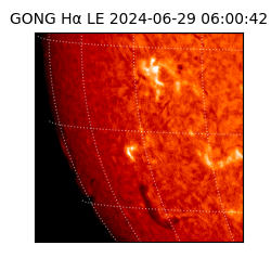 gong - 2024-06-29T06:00:42