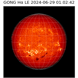 gong - 2024-06-29T01:02:42