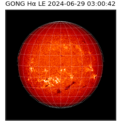 gong - 2024-06-29T03:00:42