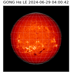 gong - 2024-06-29T04:00:42