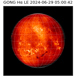 gong - 2024-06-29T05:00:42