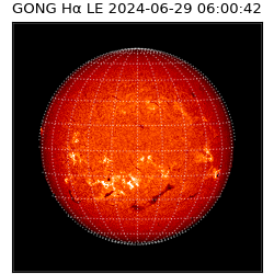 gong - 2024-06-29T06:00:42