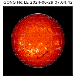 gong - 2024-06-29T07:04:42