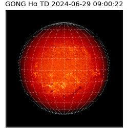 gong - 2024-06-29T09:00:22