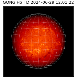 gong - 2024-06-29T12:01:22