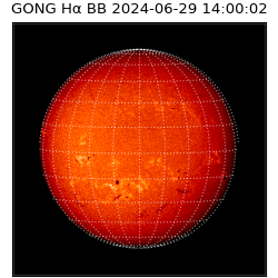 gong - 2024-06-29T14:00:02