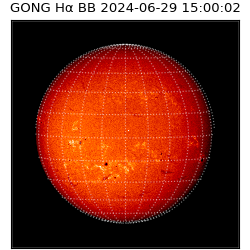 gong - 2024-06-29T15:00:02