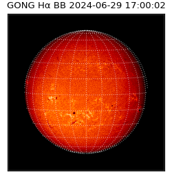 gong - 2024-06-29T17:00:02