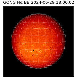 gong - 2024-06-29T18:00:02