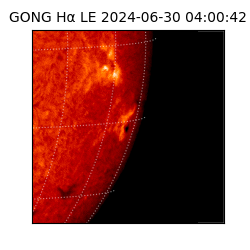 gong - 2024-06-30T04:00:42