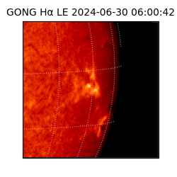 gong - 2024-06-30T06:00:42