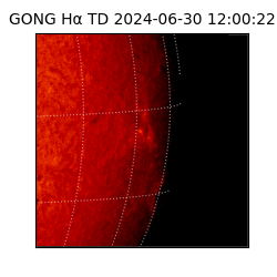 gong - 2024-06-30T12:00:22