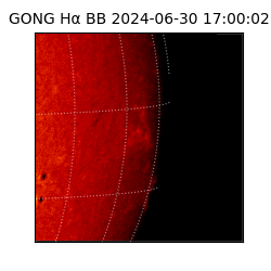 gong - 2024-06-30T17:00:02