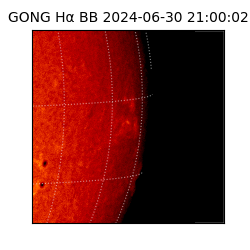 gong - 2024-06-30T21:00:02