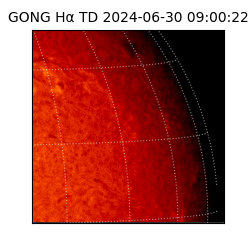 gong - 2024-06-30T09:00:22