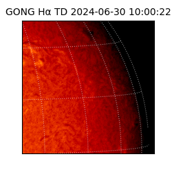 gong - 2024-06-30T10:00:22