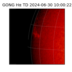 gong - 2024-06-30T10:00:22