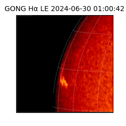 gong - 2024-06-30T01:00:42