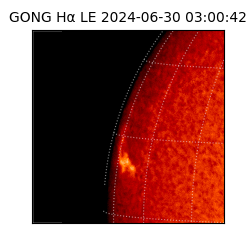 gong - 2024-06-30T03:00:42