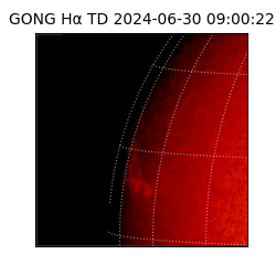 gong - 2024-06-30T09:00:22