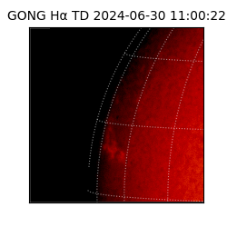 gong - 2024-06-30T11:00:22