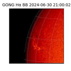 gong - 2024-06-30T21:00:02