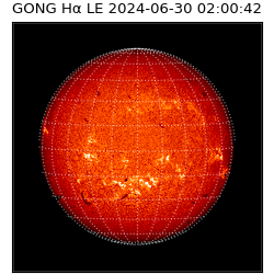 gong - 2024-06-30T02:00:42
